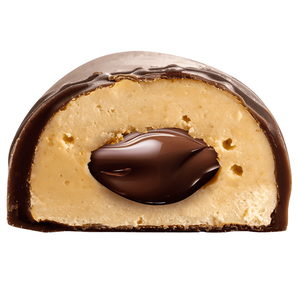 Mixed SNCK Protein Bar - 10x55g.