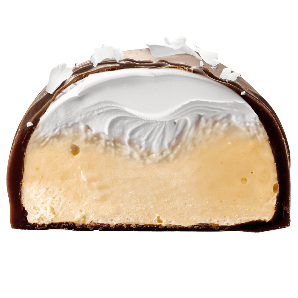 SNCK Protein Bar Coconut Flødebollen - 10x55g.