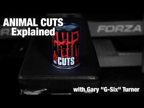 Animal Cuts - 42 paks